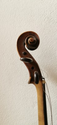 Violino 05.jpg