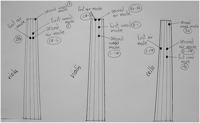 Viola_Violino_Cello_Ris.jpg