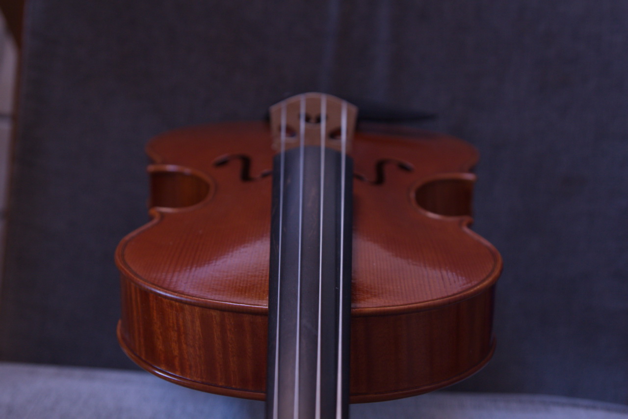 Viola 41 cm -Ondina- Francesco Piasentini - Padova 2017_1.jpg