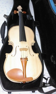 ViolinoFinito1.jpg