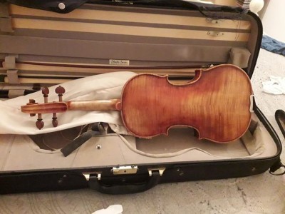 viol2.jpg