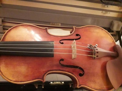 viol4.jpg