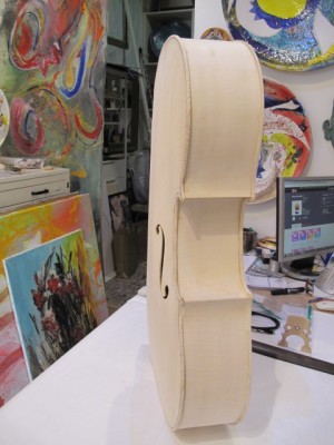 violoncello ultime 020.JPG