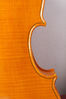 violino-1-punte-2.jpg