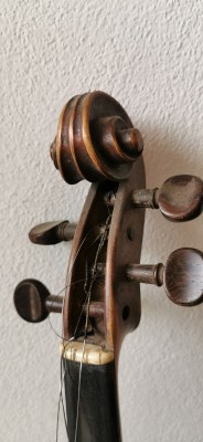 Violino 04.jpg