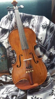 violino3.jpg