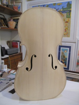 violoncello ultime 014.JPG